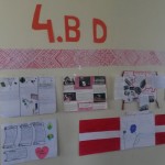 bilde7
